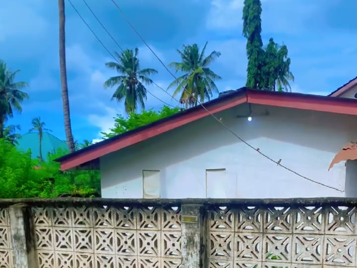 The Mary Rhobi residence exterior in its original condition, before optimisation